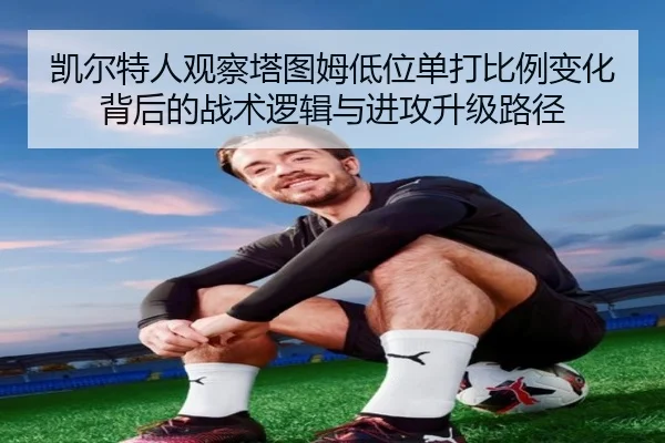img_1781740864401_4432_1_676.jpg